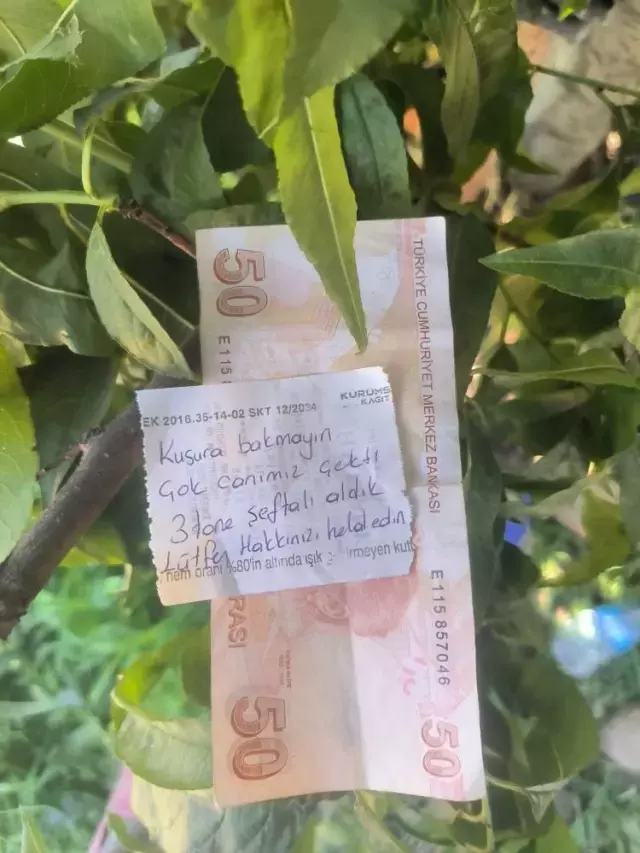Canı çektiği için ağaçtan şeftali alan vatandaş, çiftçiye para ve not bıraktı