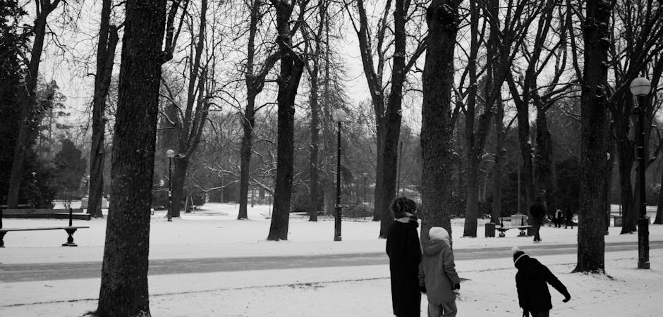 Istanbul8217da-Cuma-Gunu-Egitime-Bir-Gunluk-Kar-Tatili-featured